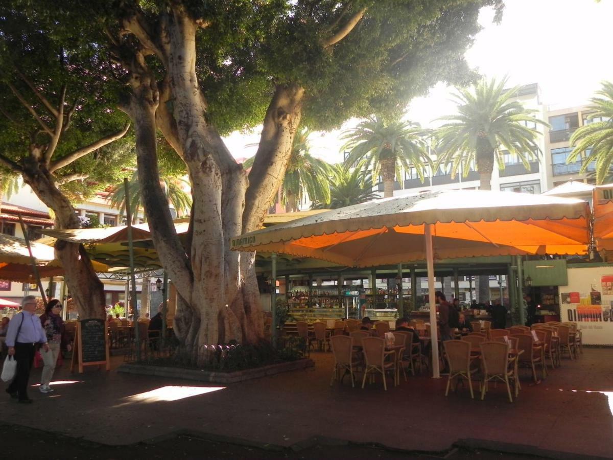 The Fishing Harbour Puerto De La Cruz Apartment ภายนอก รูปภาพ